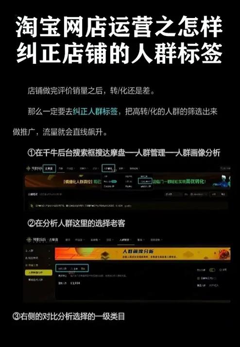天猫代运营如何进行精准人群标签分类解析？