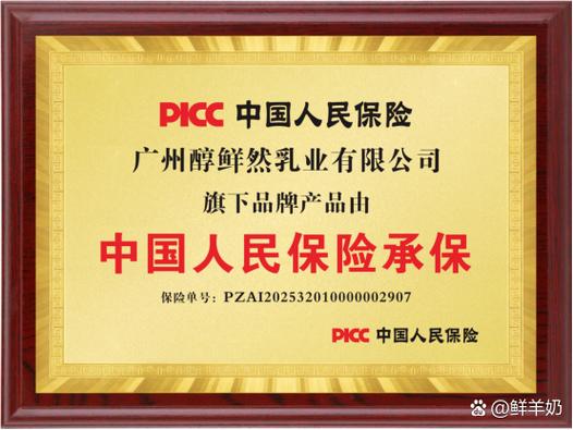 南陵SEO专家，哪家品牌是您的不二之选呢？