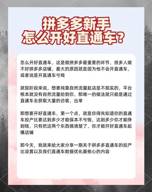 如何通过直通车实现高投产比，精细化运营有哪些秘籍？