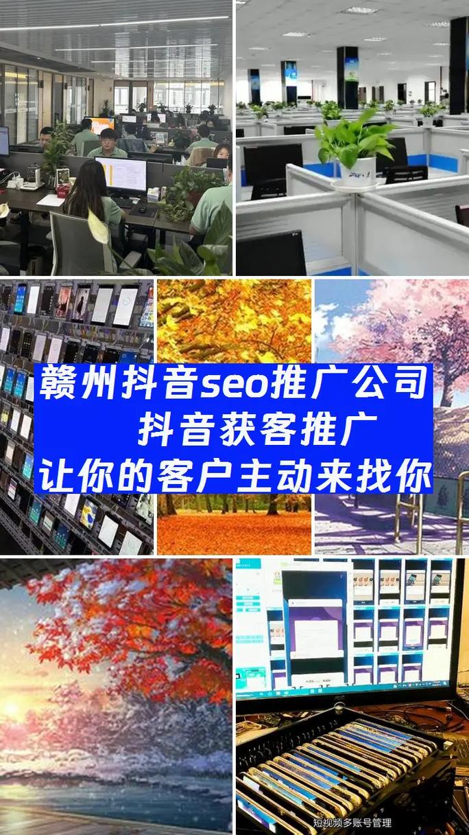 赣州SEO优化专家哪家服务最好？