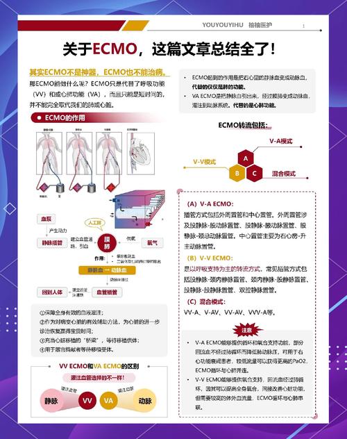如何通过Golang与Vault的完美融合，有效提升应用安全防护水平？