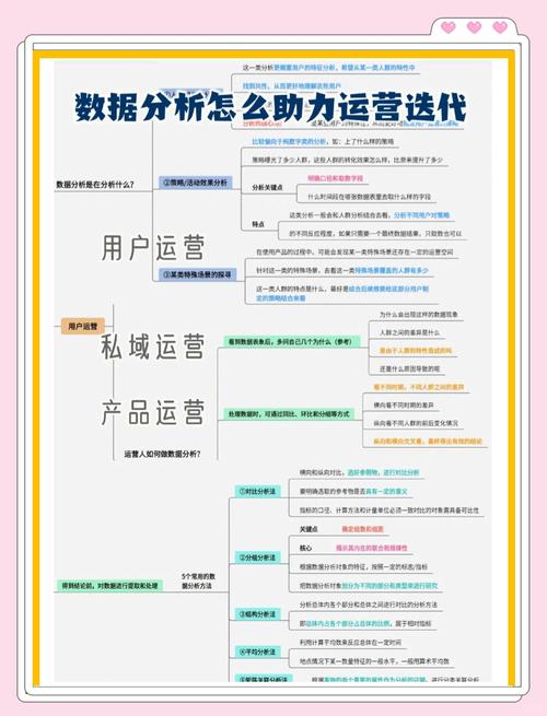 如何避免排名低？是否需要专业代运营来优化？