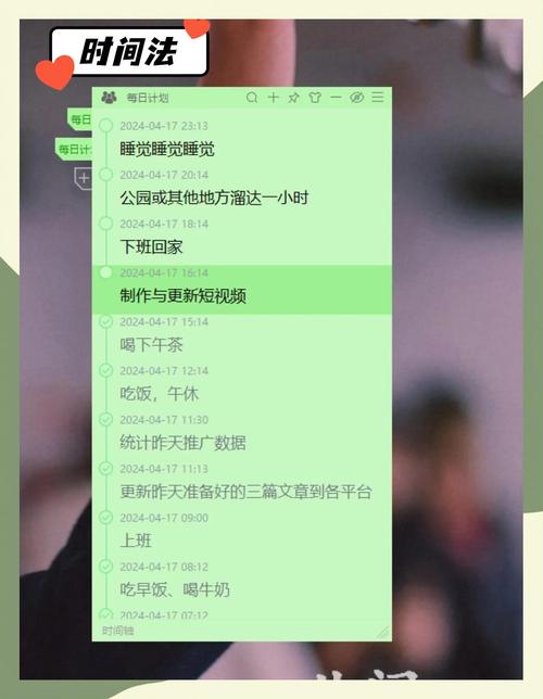 如何高效制定SEO新手每日必做优化要点计划？