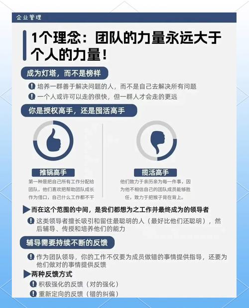 宜阳SEO服务，如何找到真正专业的团队呢？