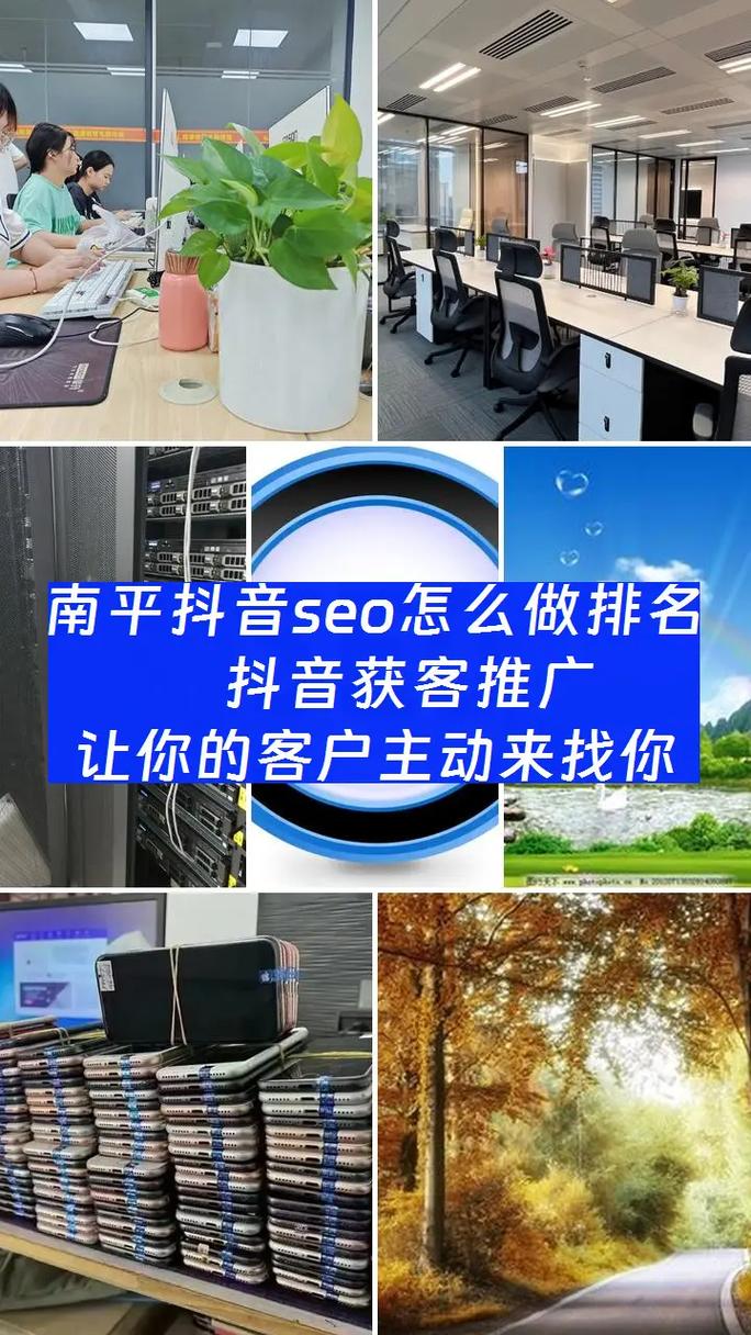 福建南平地区有专业的SEO专家和SEO顾问团队吗？