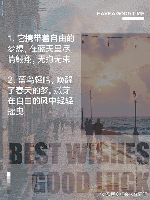 翱翔的文字，如何才能创意无限，自由挥洒？