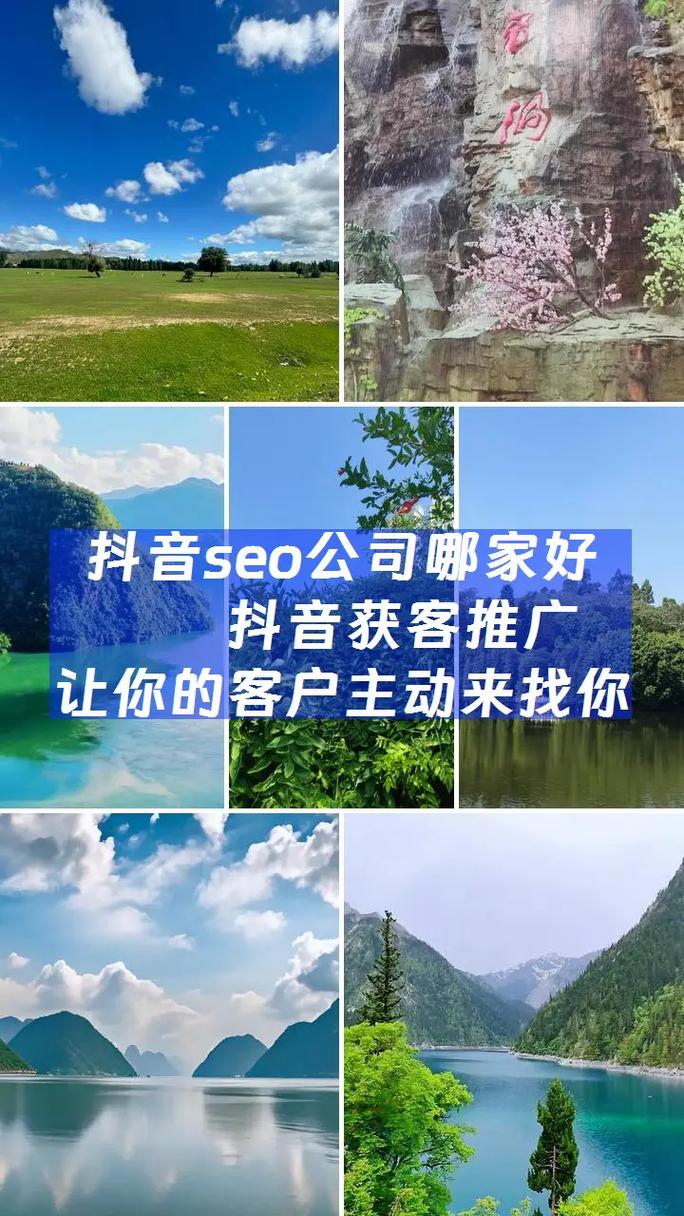 曲靖抖音SEO专家团队，哪家服务更专业呢？