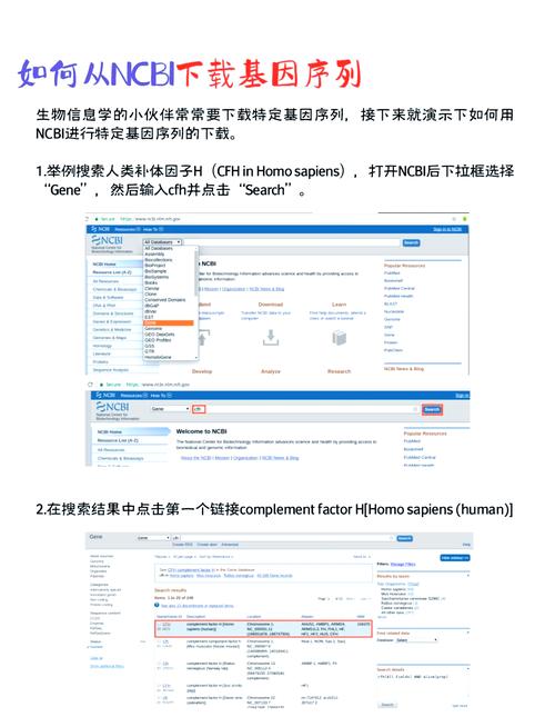 如何通过bootstraptable获取特定行的ID？