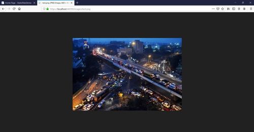 如何正确配置ASP.NET Core项目以支持静态文件？