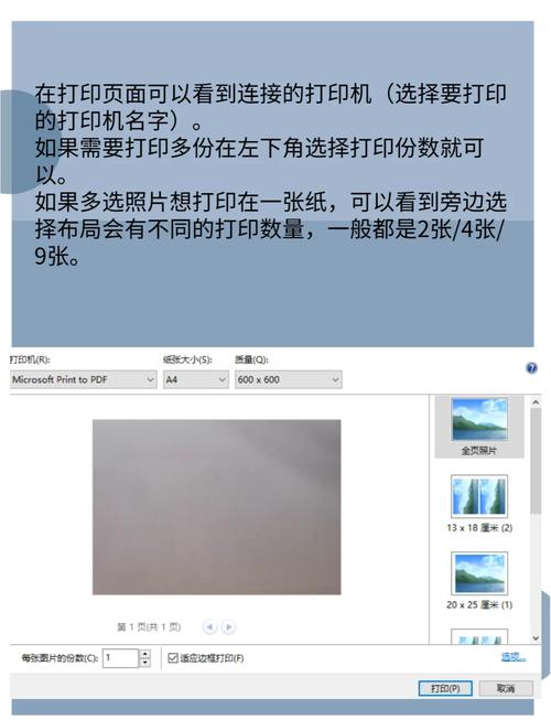 如何通过JS的window.print()方法实现网页打印操作？