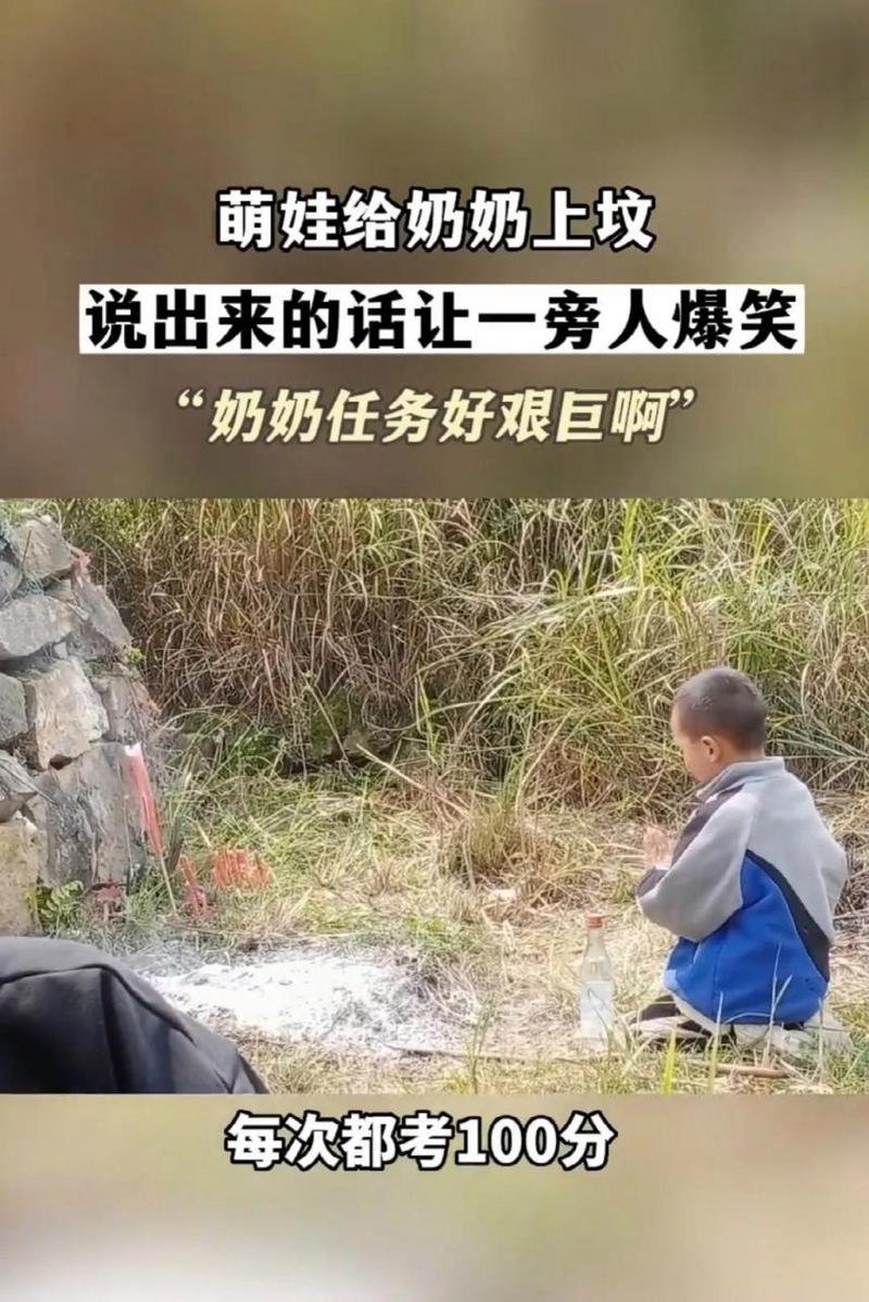 哪个男孩不愿迅速完成查询任务？