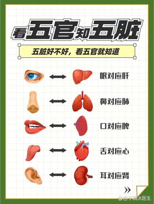 如何通过观察面容特征来判断健康状况？