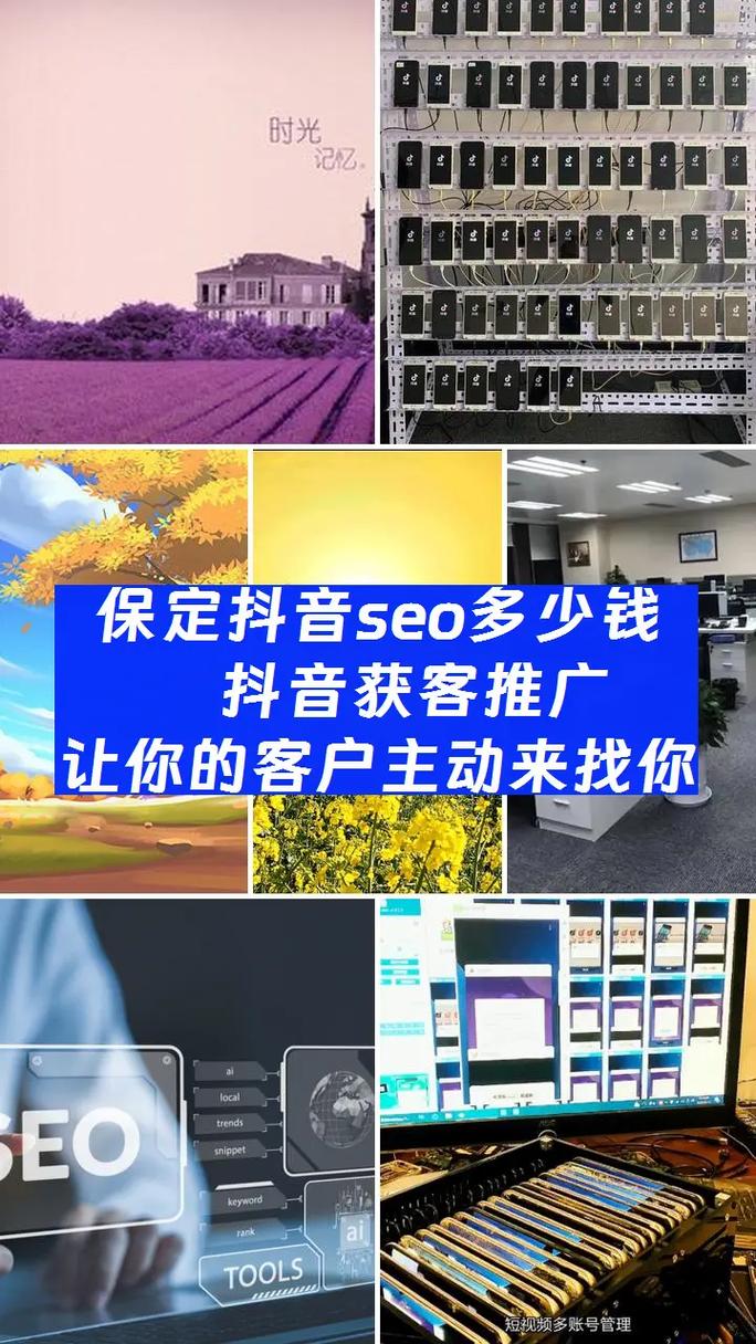 保定SEO优化费用高吗？性价比高的服务有哪些？