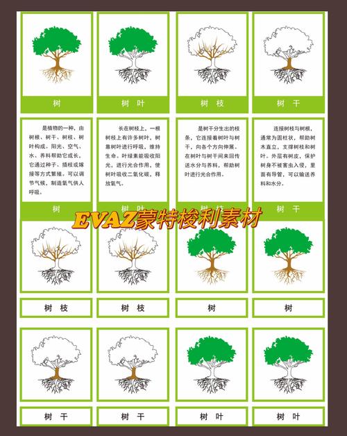 什么是构成树的基本概念的定义及其核心要素？