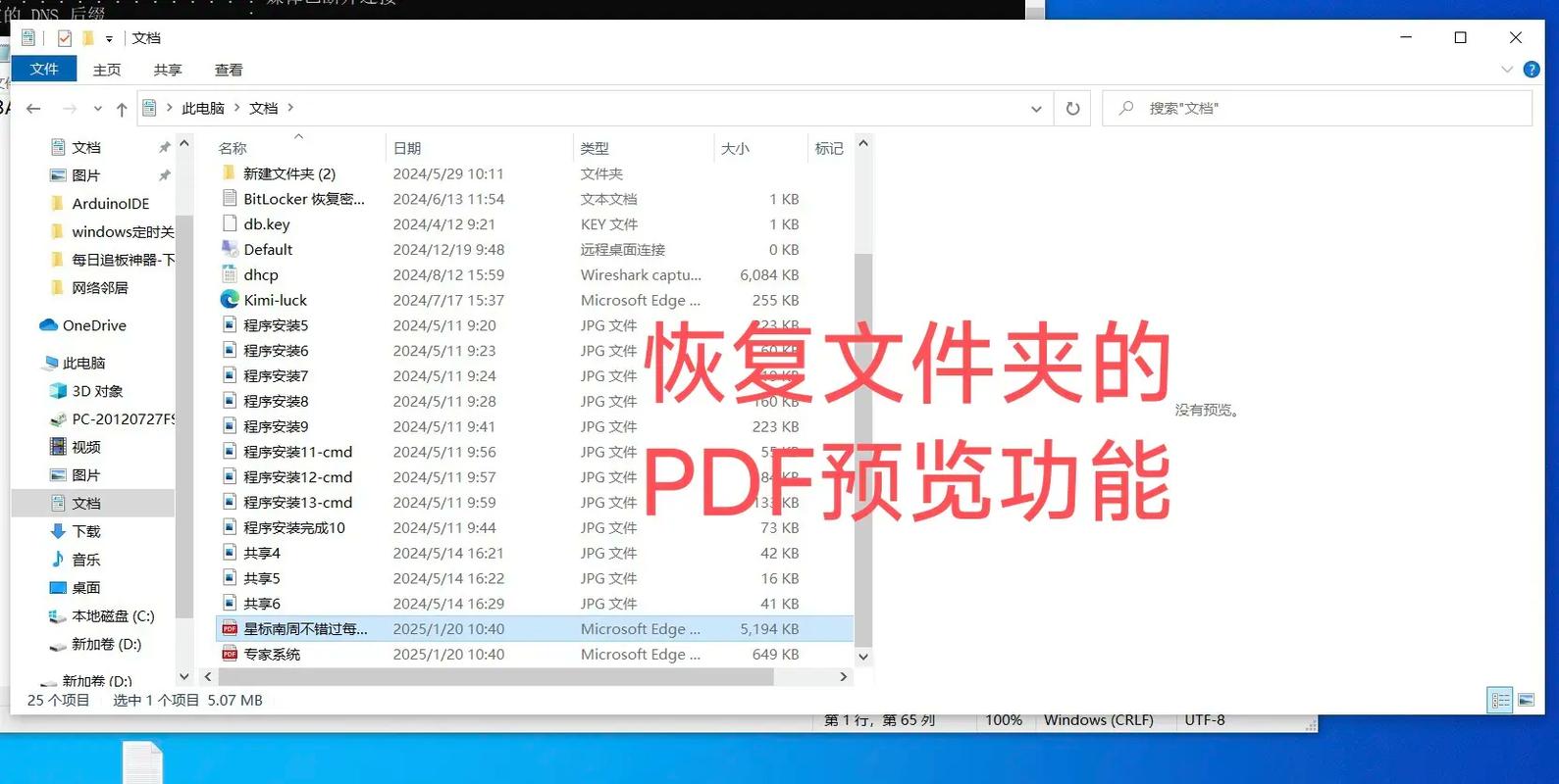 如何使用Asp.net在线预览Word、Excel、PDF、Txt文件并附上源码？