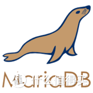 如何有效提升MariaDB数据库性能，我已成功破解？