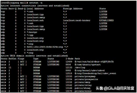 如何通过Java脚本和Linux命令行高效监控服务器性能？