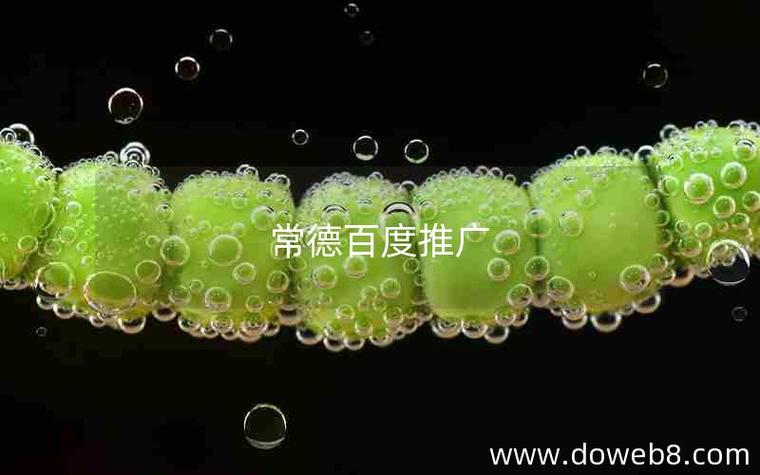常德SEO优化服务，哪家专业高效且价格透明呢？