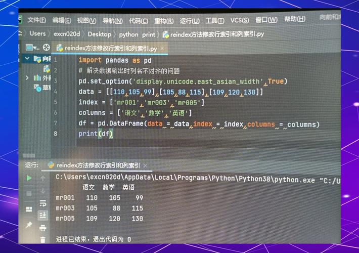 如何在使用Python的DataFrame时正确应用xs方法？