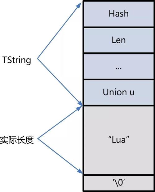 Lua中不同数据结构如何影响内存使用效率？