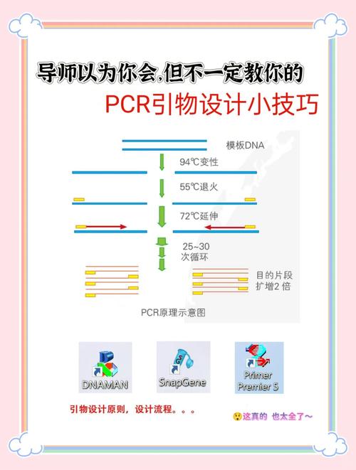 .NET6 MiniAPI(二十四)：如何用Polly实现重试机制？