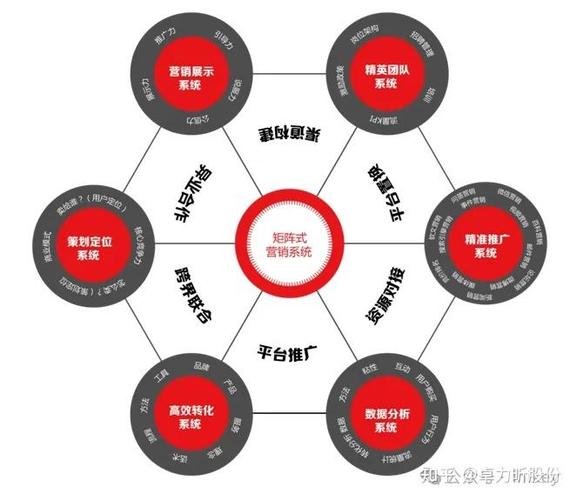 如何通过多号联动、生肖矩阵实现策略共赢？