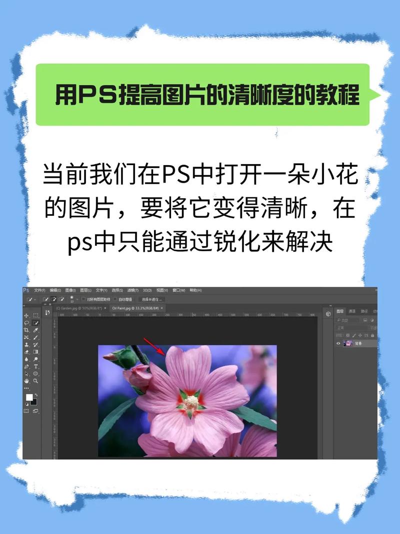 如何通过图片优化提升盐田SEO权重，增强搜索图片的可见度？