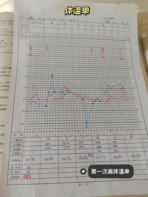 如何用zrender.js实现体温单的绘制效果？