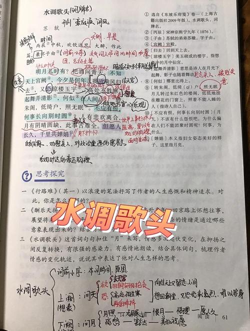 《水调歌头喜雪》中元魏初的翻译原文如何赏析？