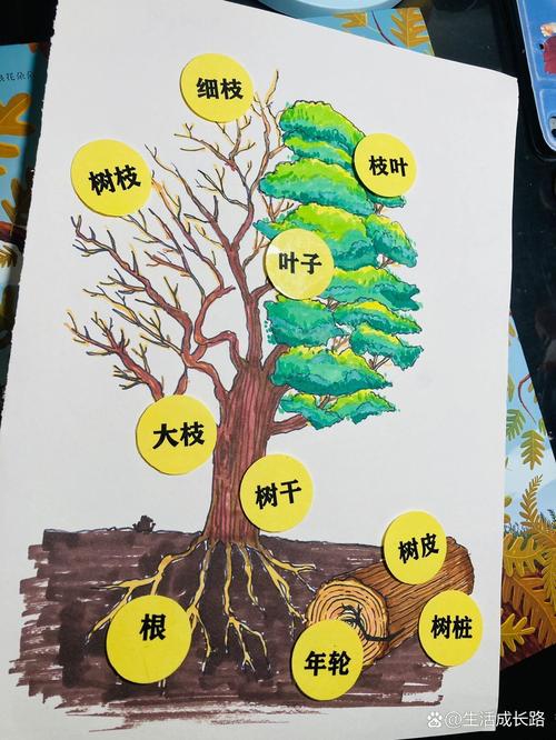 树结构复习要点有哪些？