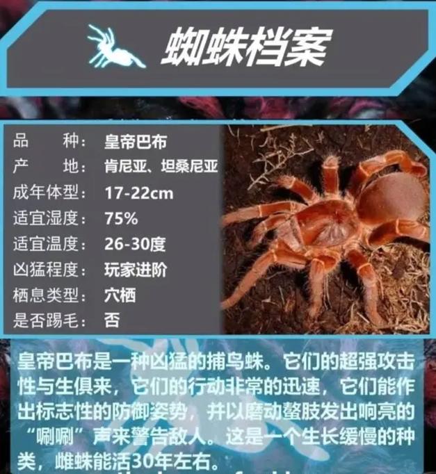 蜘蛛最喜欢收录哪些类型的网站信息呢？