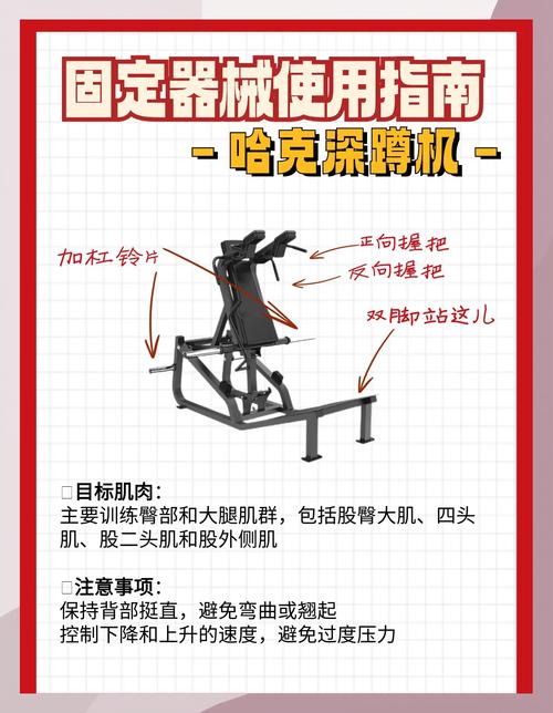 101341D型号的健身房器材有哪些特点？