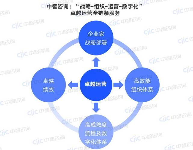 如何构建卓越企业网平台，实现优化高效之道？