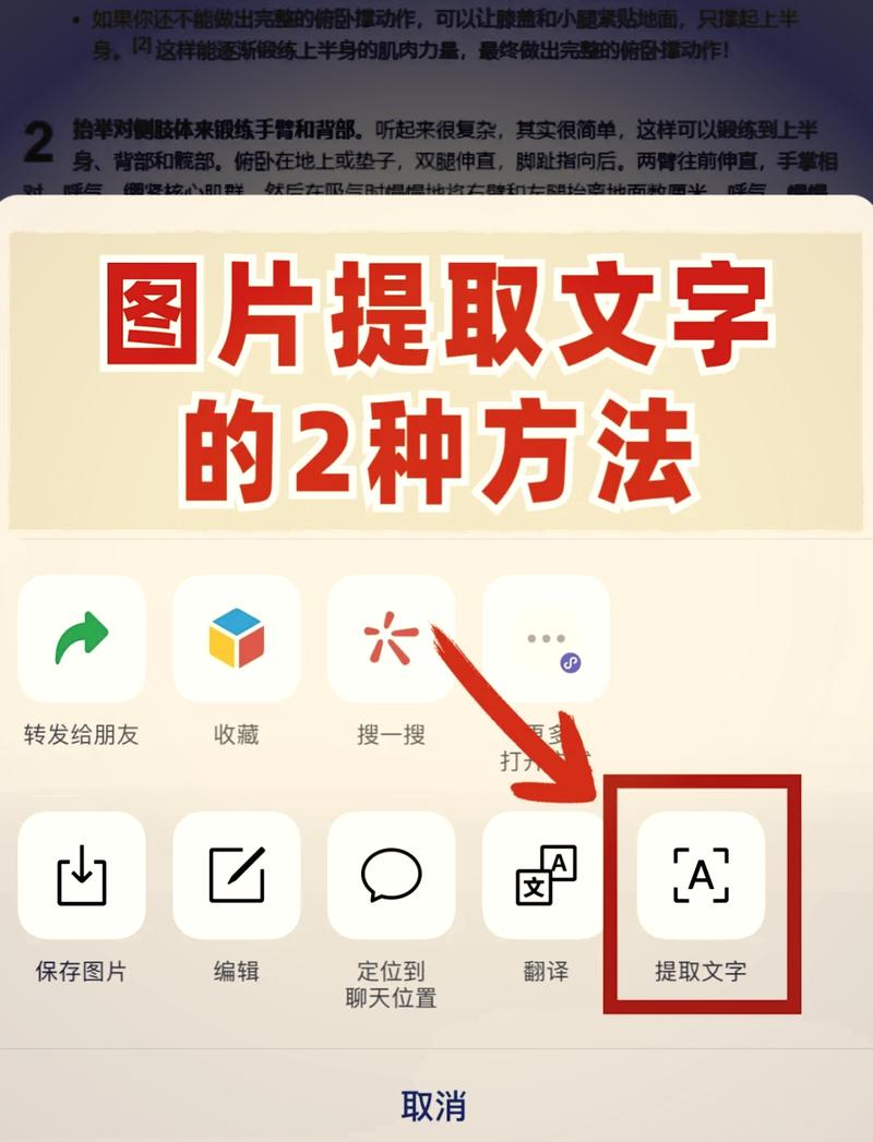 微信如何识别并处理用户输入的文本信息？