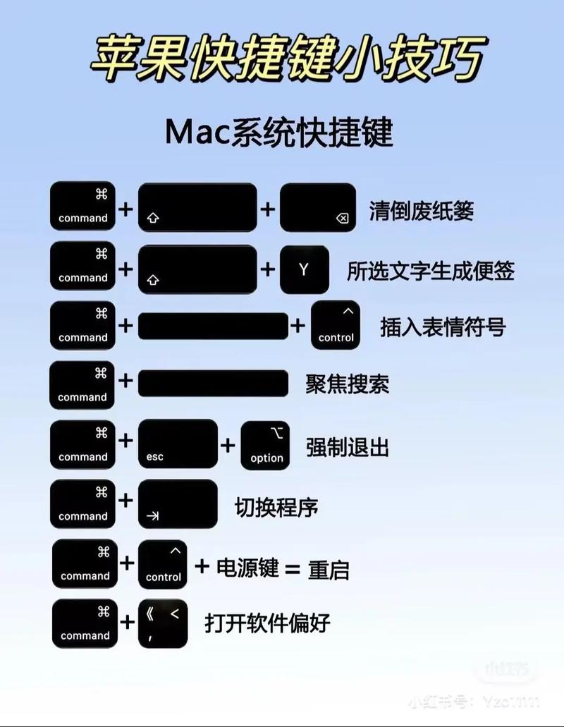 BACF在MAC操作系统下如何运行？