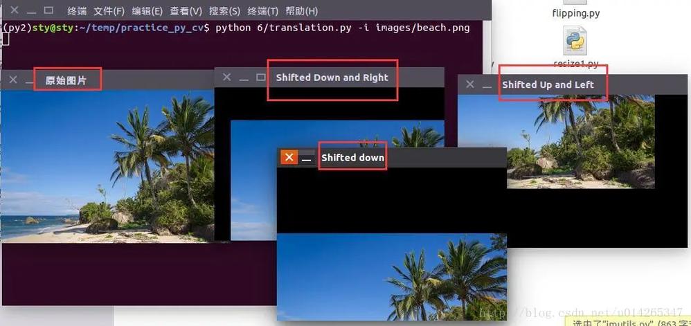 如何使用OpenCV库进行图像平移操作？