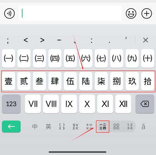 输入文本时，请确保仅包含数字字符吗？