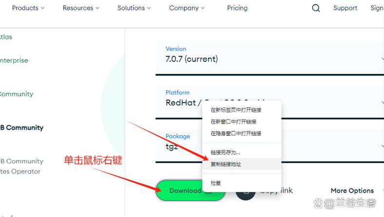 如何用NestJs结合Mongoose高效操作MongoDB数据库？