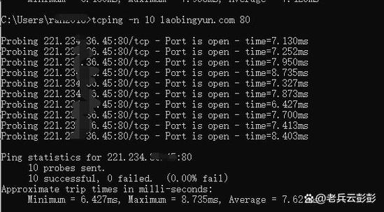 如何解决安装VisualSVN Server时提示指定的TCP端口被占用的问题？