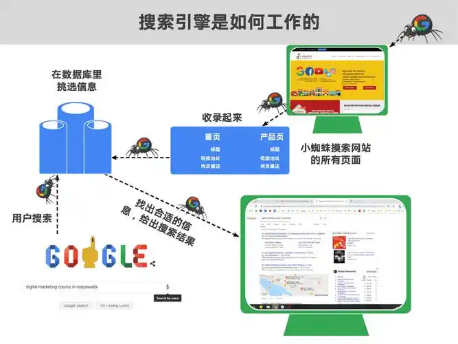 如何通过优化内链策略，有效扩大搜索引擎蜘蛛的抓取范围？
