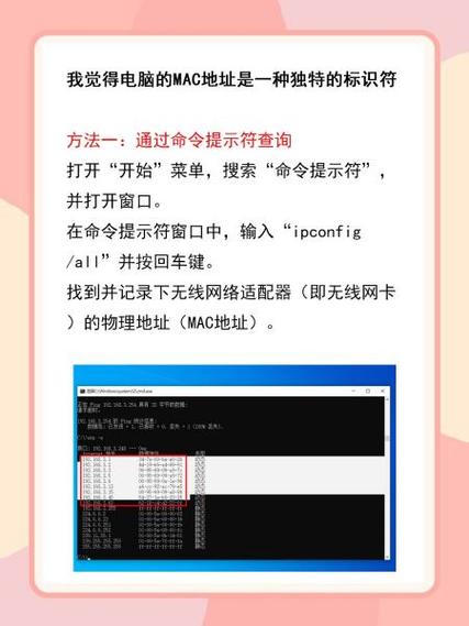 如何查询Mac系统上Java安装的具体位置？