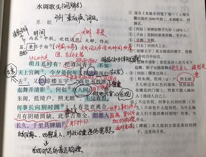 《水调歌头喜雪》中元魏初的翻译原文如何赏析？