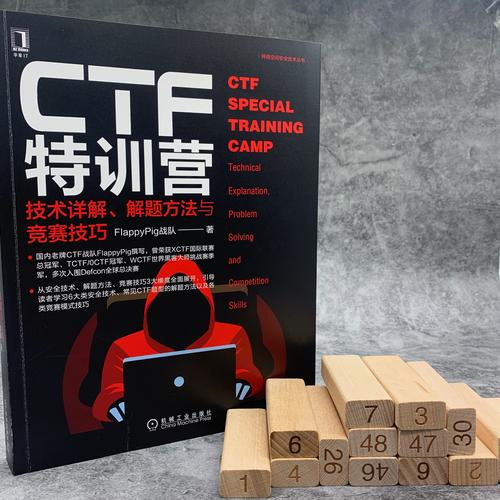 零基础如何轻松掌握PWN技能，逐章突破CTF挑战？