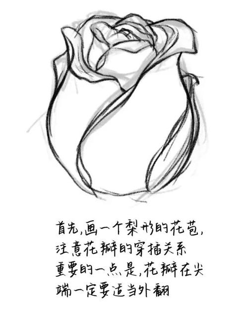 如何用JavaScript制作一朵从含苞到完全绽放的玫瑰花动画？