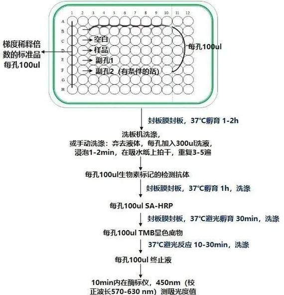 MCDF实验1中具体步骤是怎样的？