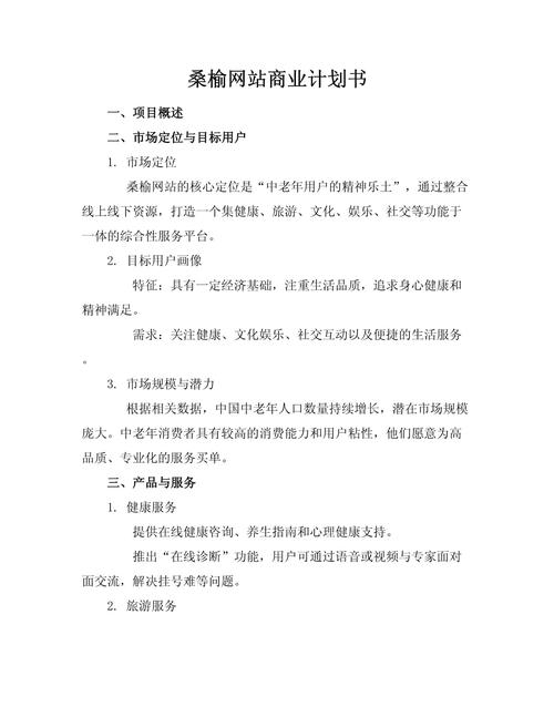 如何制定一个目标明确、策略创新且执行高效的网站推广计划？