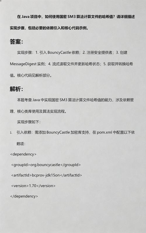 官方Java演示中如何使用国密算法？