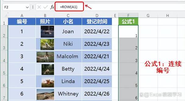 如何使用PDOStatement::rowCount()函数获取查询结果行数？