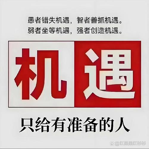 如何快速抓住商机，立即行动？