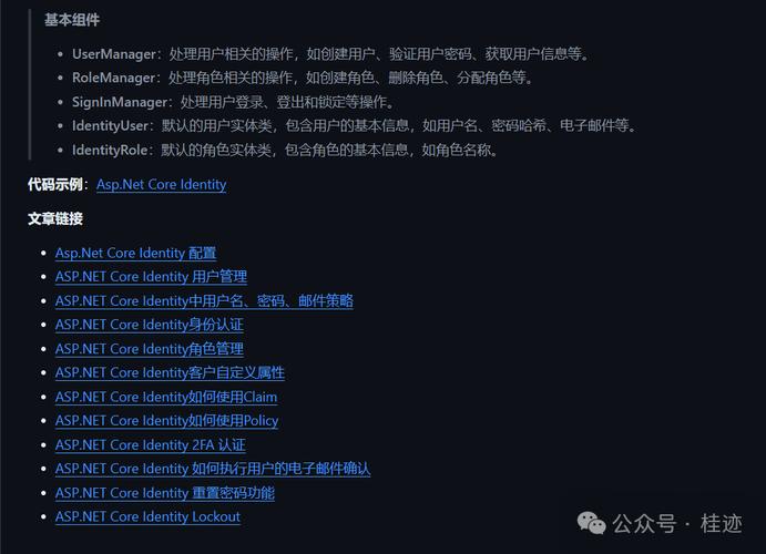 如何实现Asp.Net Core Identity中的隐私数据保护机制？